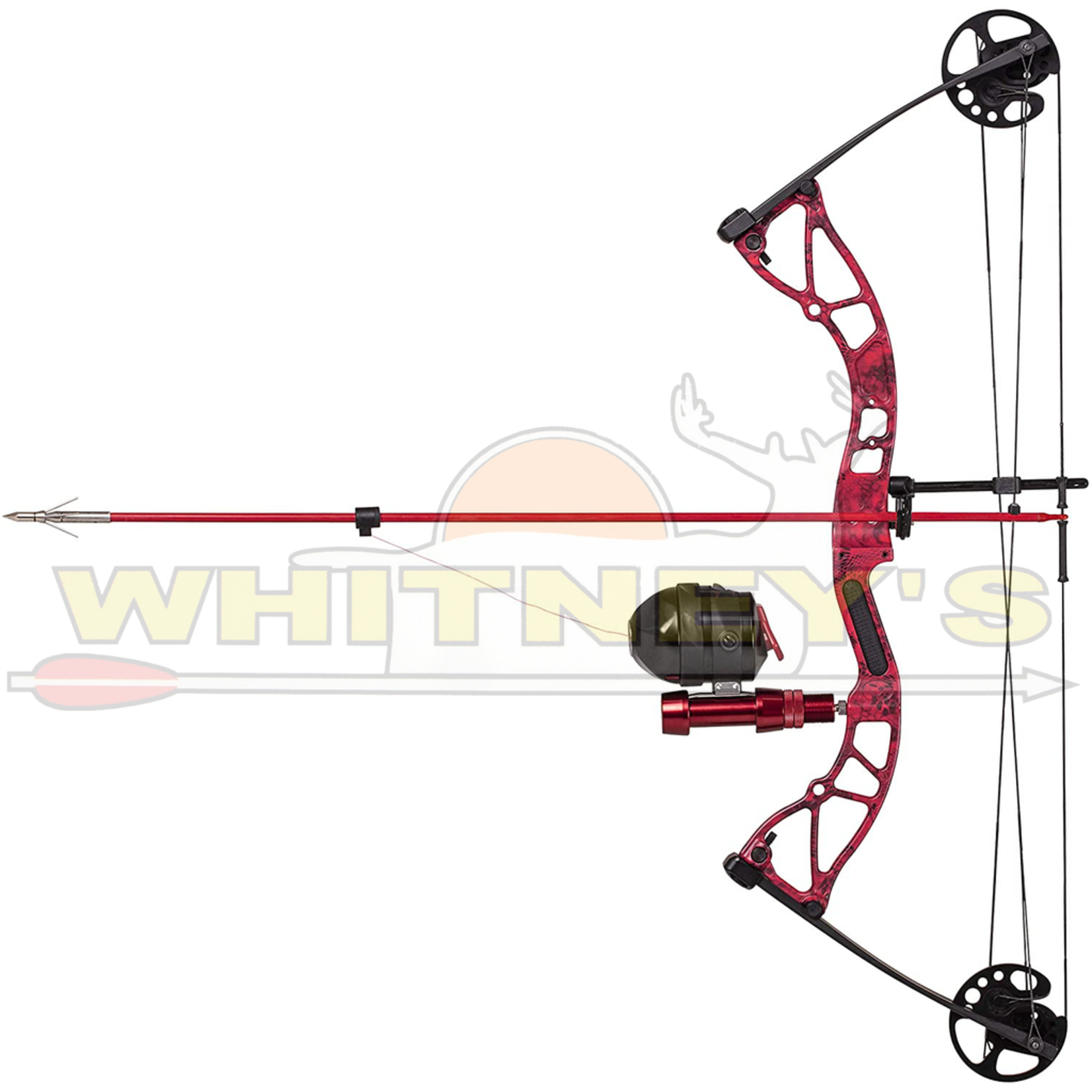 Cajun Archery Cajun Bows Shore Runner RTF