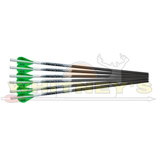 Excalibur Excalibur Proflight Arrows 20” (6PK)
