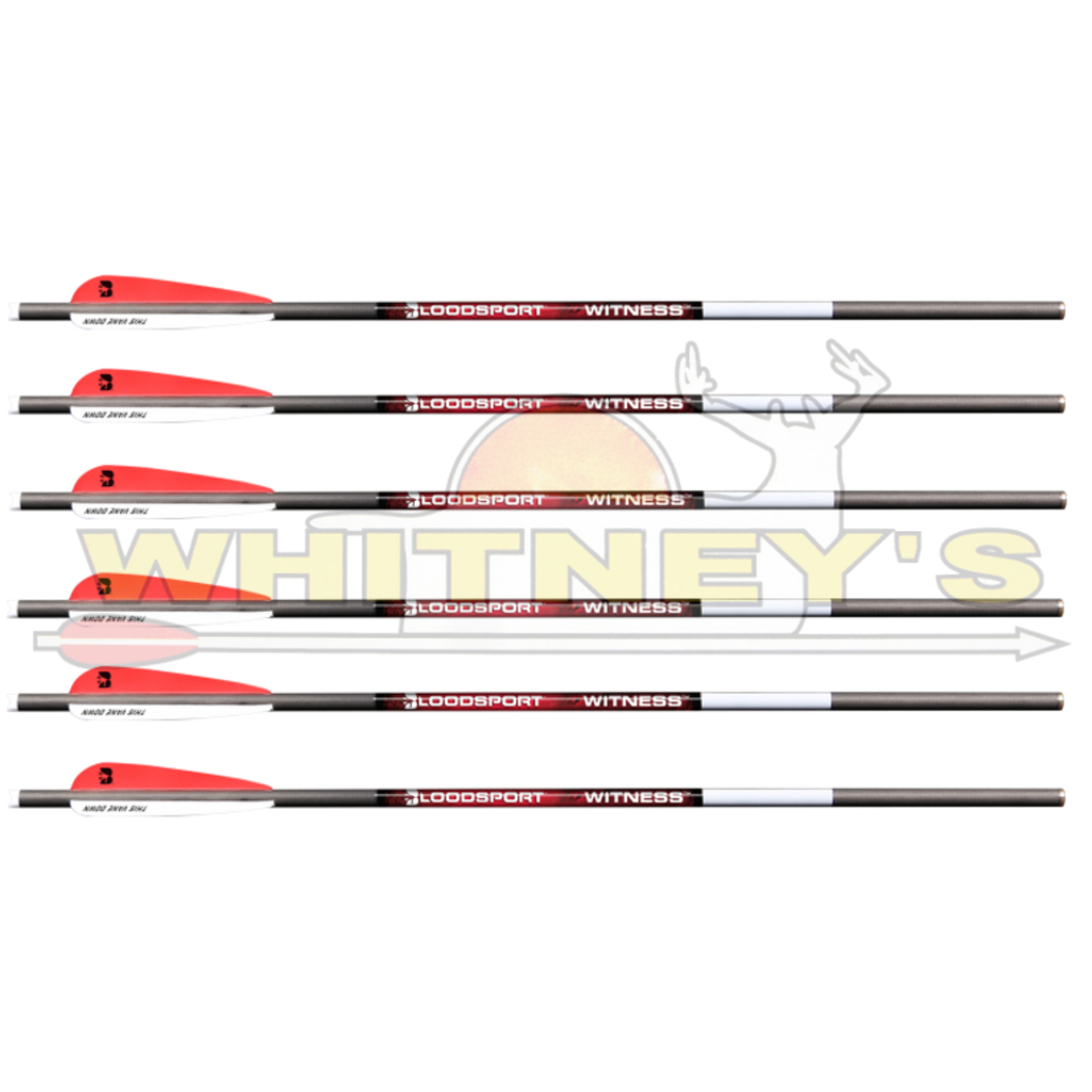 Bloodsport Bloodsport Witness 20” Crossbow Bolt - 6 PACK