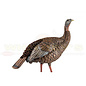 Avian X Avian X HDR Hen Turkey Decoy- AVX8106