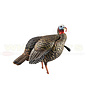 Avian X Avian X HDR Jake Decoy- AVX8105