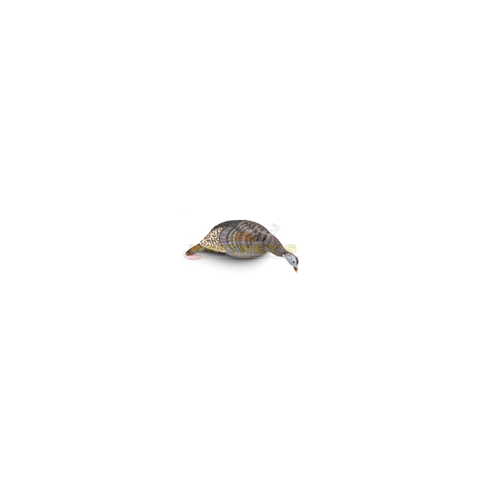 HS/Hunters Specialties Hunters Specialties/HS Strut Strut-Lite Feeding Hen Decoy