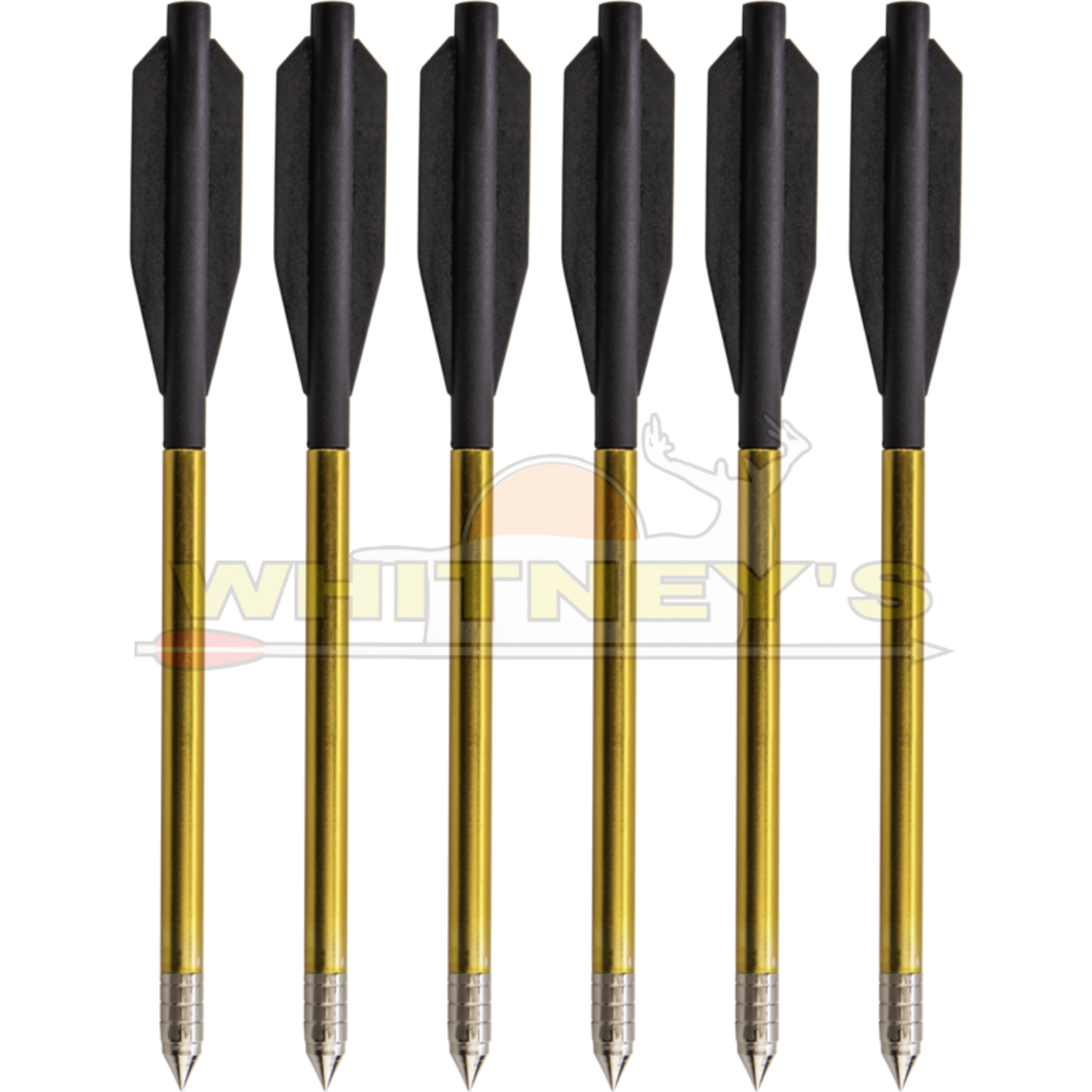 Bear Archery Bear X Desire Mini Crossbow Bolts, 12PK- AVXA12P