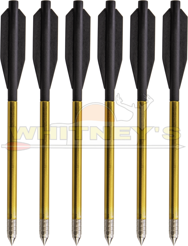 Bear X Desire Crossbow Mini Bolts, Black, 12PK - Whitney's Hunting Supply