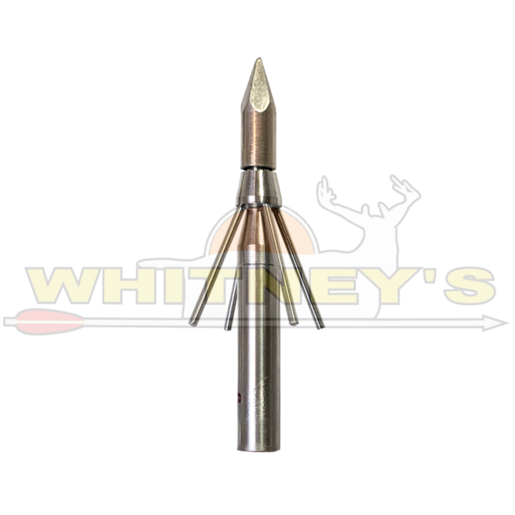 Cajun Archery Cajun 4 Barb Stinger Arrow Fish Point