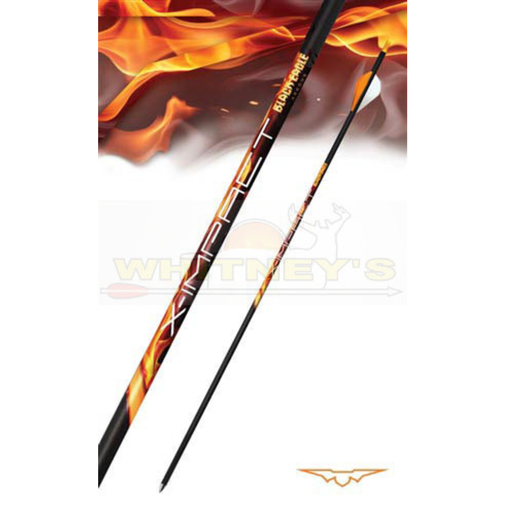 Black Eagle Black Eagle X-Impact Fletched Arrows - .001 - 6 PACK - 300
