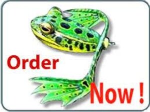 Designer Bass Frogs