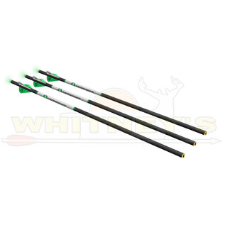 Centerpoint CenterPoint 400gr. Carbon Arrows w/ Lighted Half Moon Nocks-AXCCA203PK