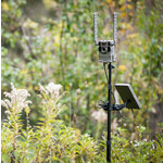 Tactacam Tactacam Adjustable Camera Stake