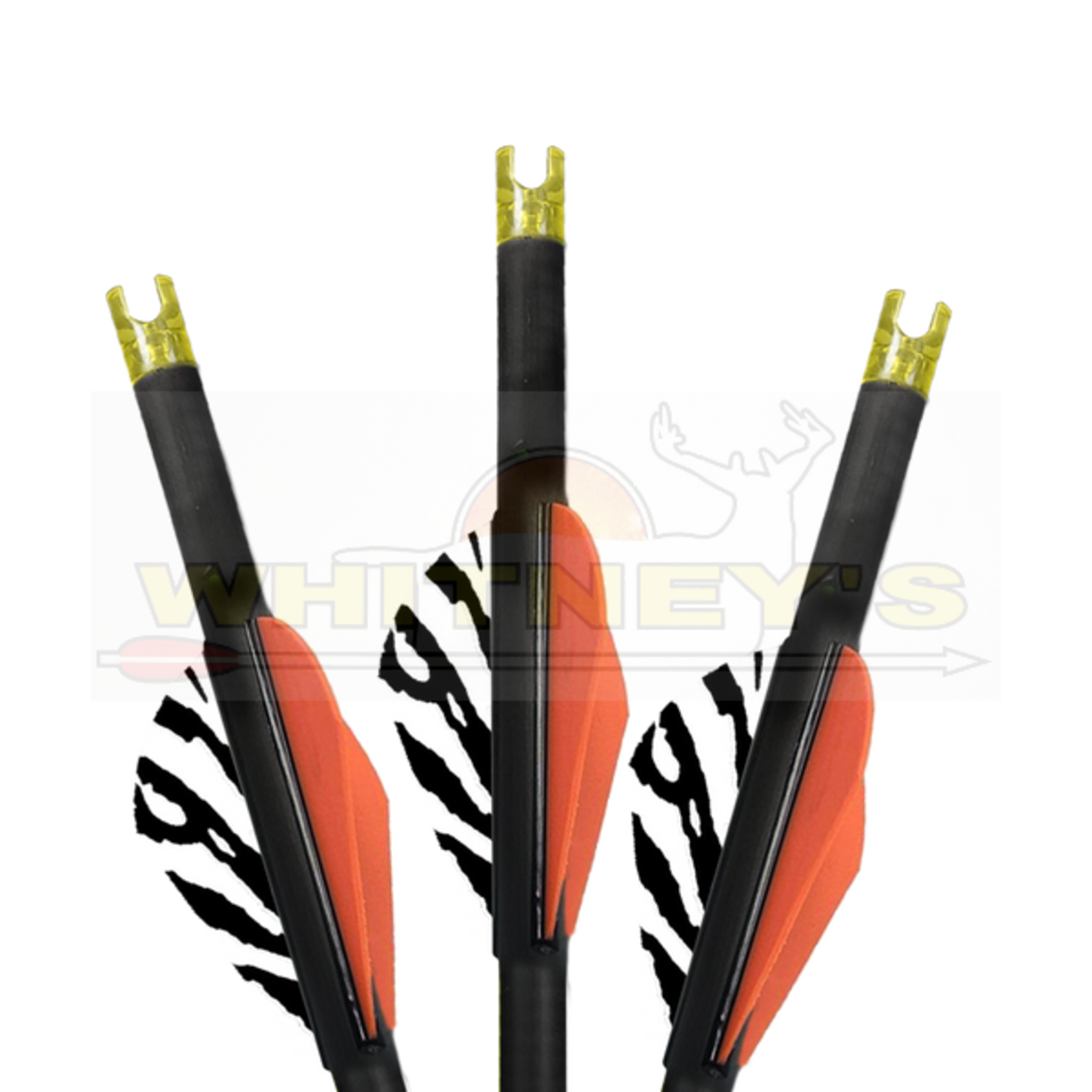 Burt Coyote Co., Inc. Burt Coyote Lumenok 22” LumenArrows Equipped W/ HD Orange Capture Nock 3-Pack