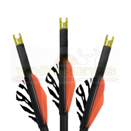 Burt Coyote Co., Inc. Burt Coyote Lumenok 22” LumenArrows Equipped W/ HD Orange Capture Nock 3-Pack