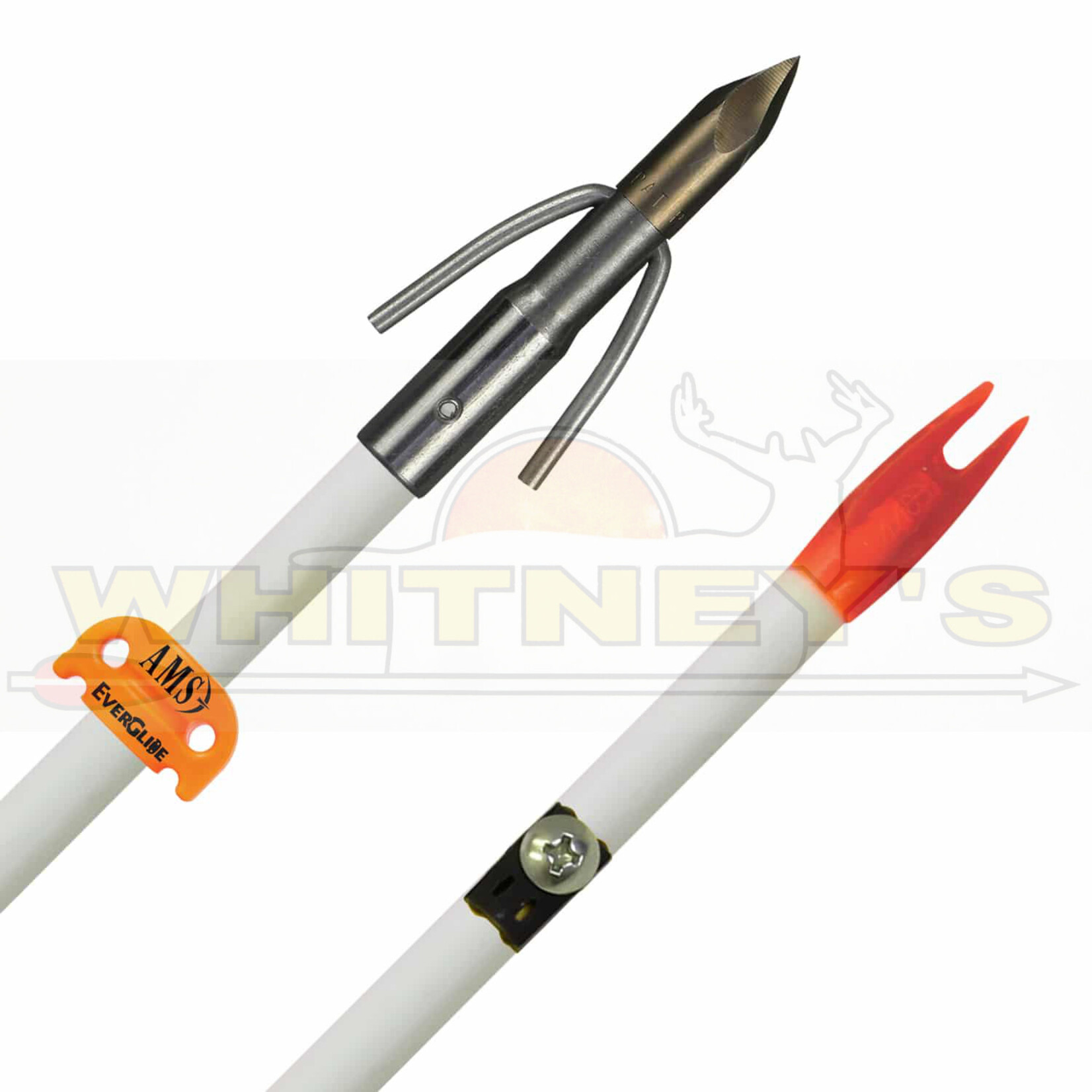 AMS AMS Bowfishing  Chaos FX Fiberglass Arrow A203-