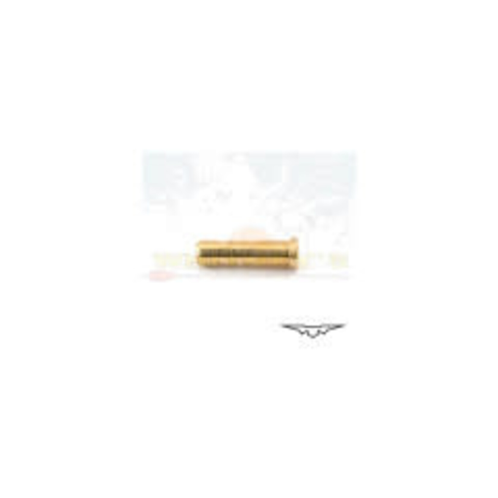 Black Eagle Black Eagle .2445 100gr. Brass Insert, Dozen