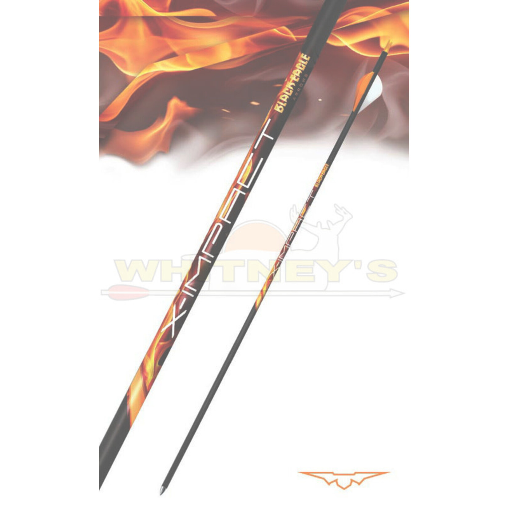 Black Eagle Black Eagle X-Impact Fletched Arrows - .001 - 6 PACK - 200