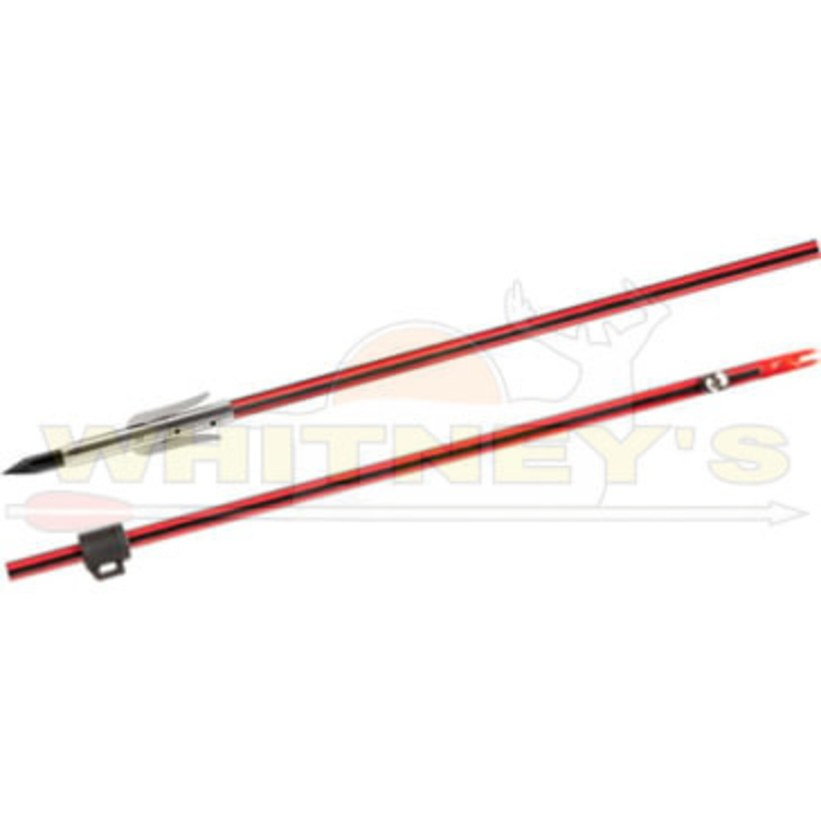 Cajun Archery Cajun Bows Wasp Arrow W/ Piranha Long Barb XT