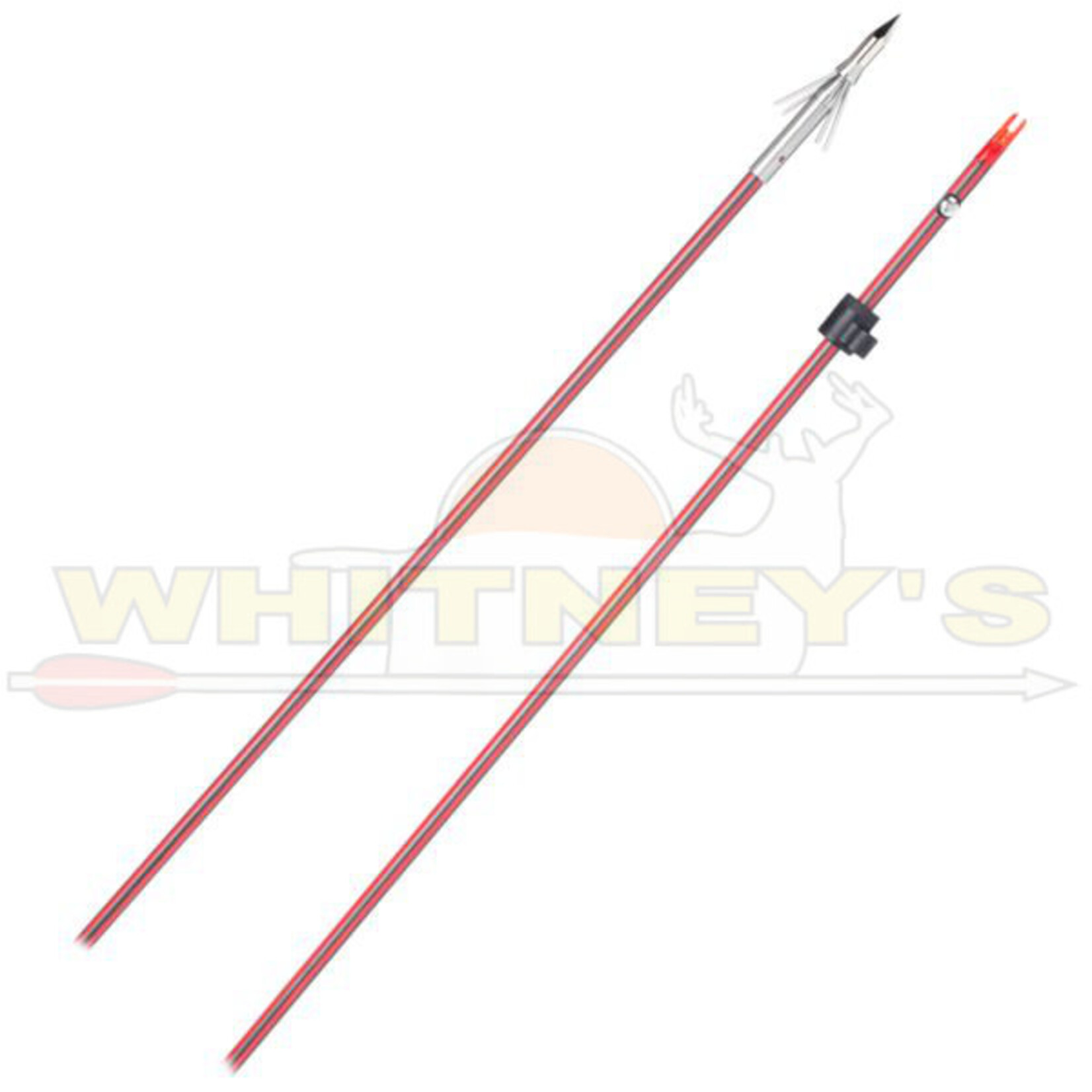 Cajun Archery Cajun Bows Wasp Arrow W/ 4 Barb Stinger- ABF121SP