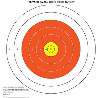 .30-06 Outdoors .30-06 Outdoors-100 YD.- SM Bore Rifle Target 20 Ct.