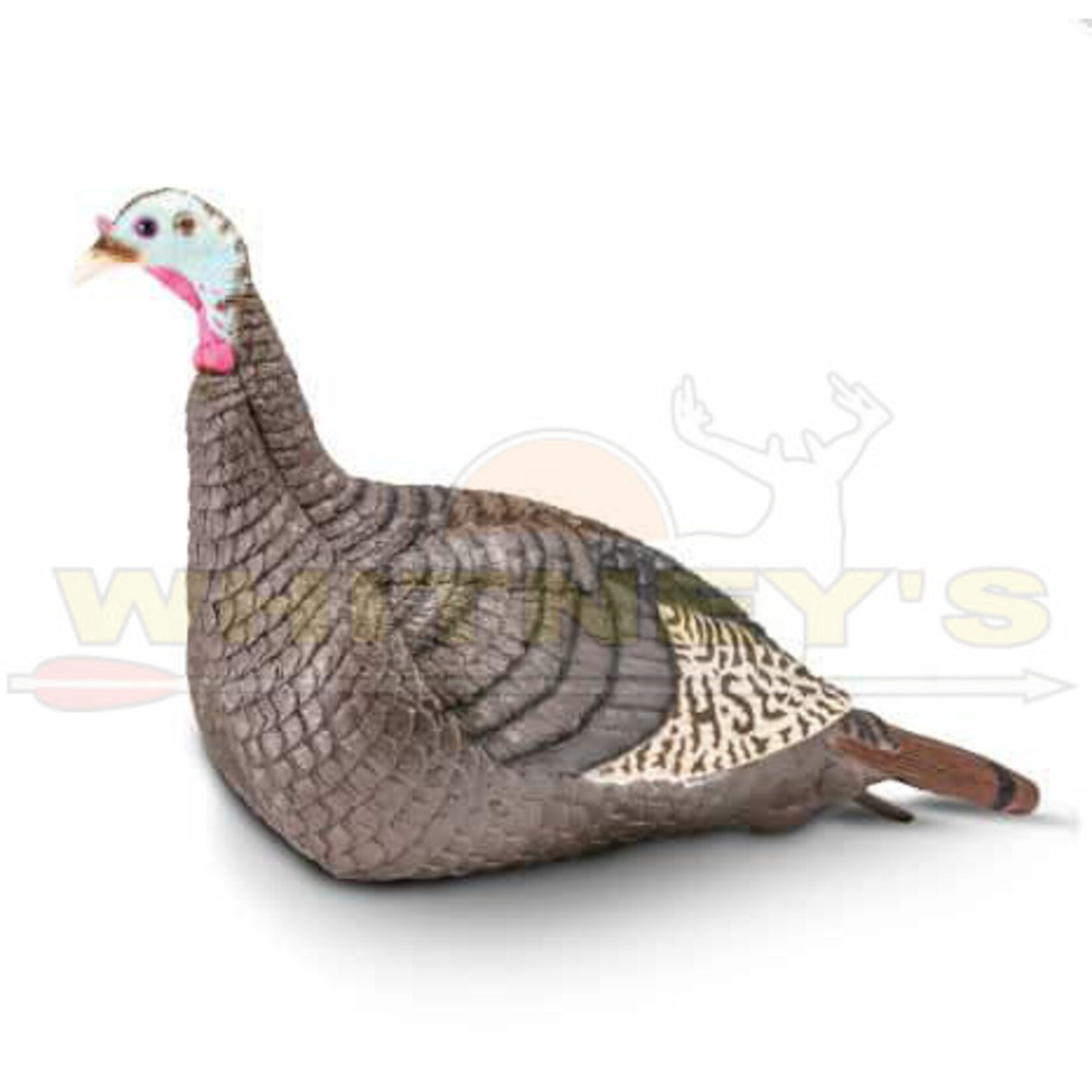 HS/Hunters Specialties Hunters Specialties/HS Strut Strut-Lite Hen Decoy