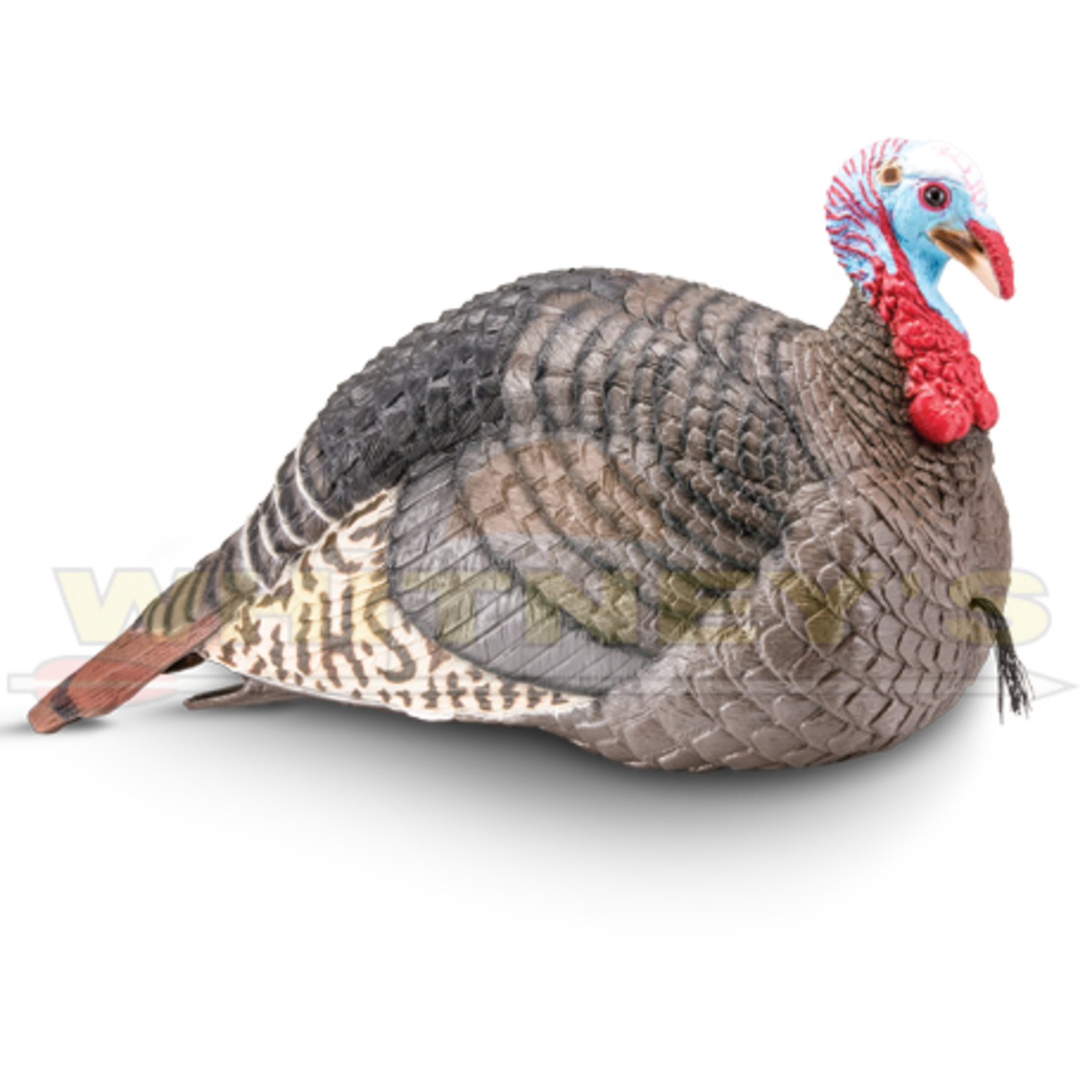 HS/Hunters Specialties Hunter Specialties/HS Strut Strut-Lite Jake Decoy