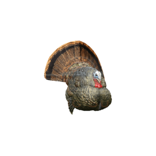 Avian X Avian X LCD Strutter Decoy- AVX8004