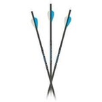 Carbon Express Carbon Express Predator 3050, Predator Vanes - 6pk