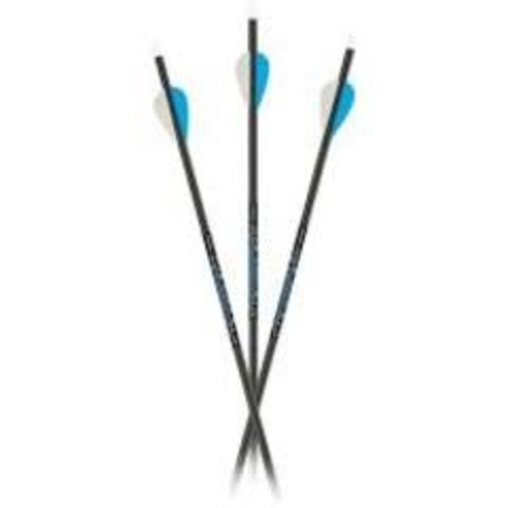 Carbon Express Carbon Express Predator 3050, Predator Vanes - 6pk