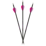 Carbon Express Carbon Express Predator Hot Pursuit  3050 Shafts - 12 pack
