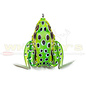 Lunkerhunt Lunkerhunt Fishing Lures Frogs-