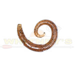 Lunkerhunt Lunkerhunt River Worms 2"- 8pk -