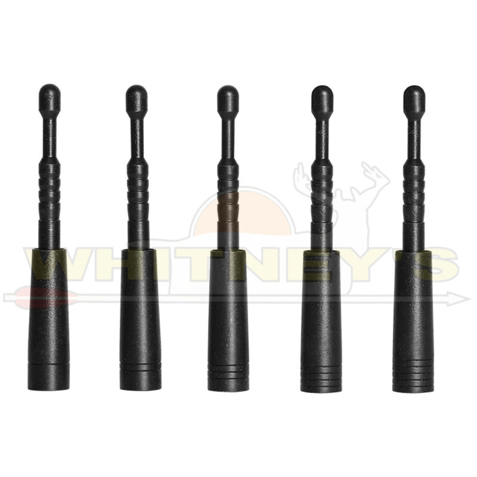 EASTON Easton Point Insert 4MM Half Out #3- 50  gr. - Dozen-429737