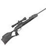 Gamo Outdoors Gamo Swarm Magnum 10X Gen2 .177 Air Rifle