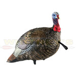 Avian X Avian X Jake Quarter Strut Decoy LDC- AVX8003