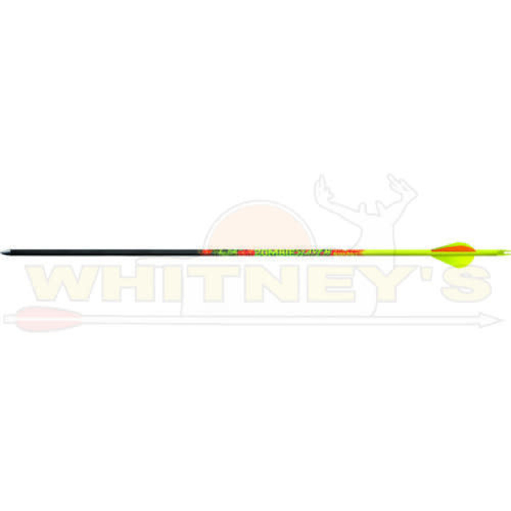 Black Eagle Black Eagle Zombie Slayer Fletched Arrows - 300  Spine /.003"- Half Dz.