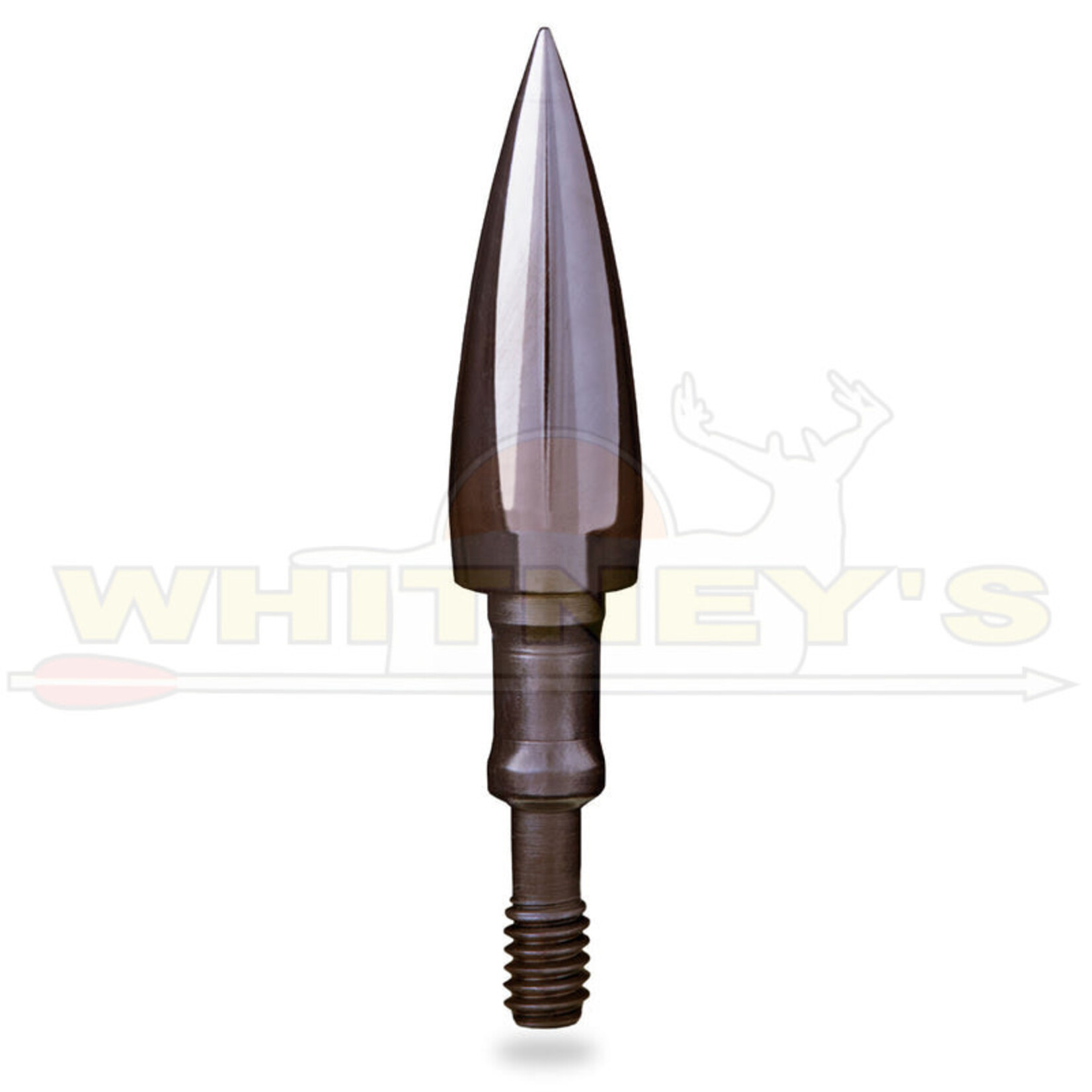 EASTON Easton Match Grade 11/32 Points, 6PK
