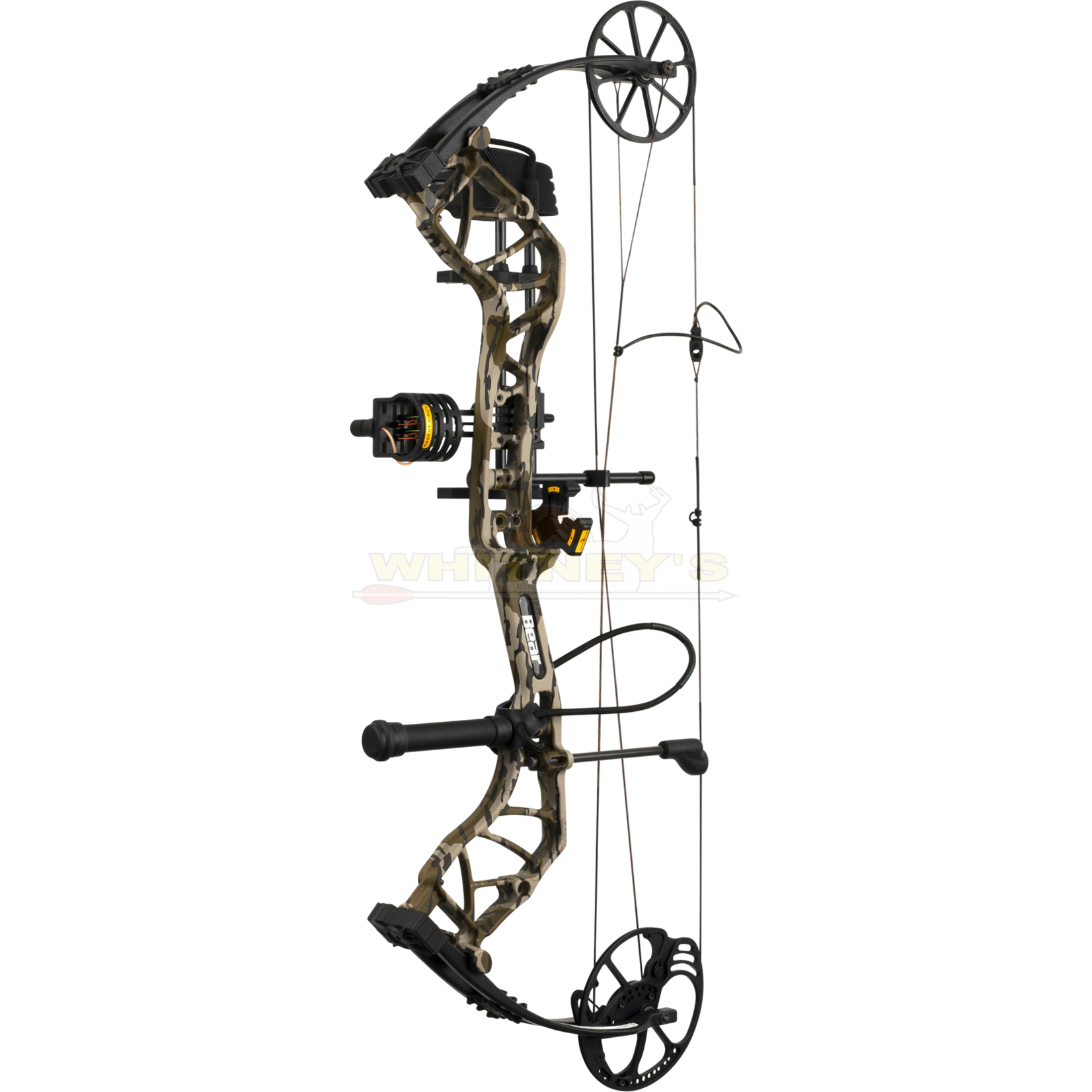Bear Archery Bear Species EV RTH