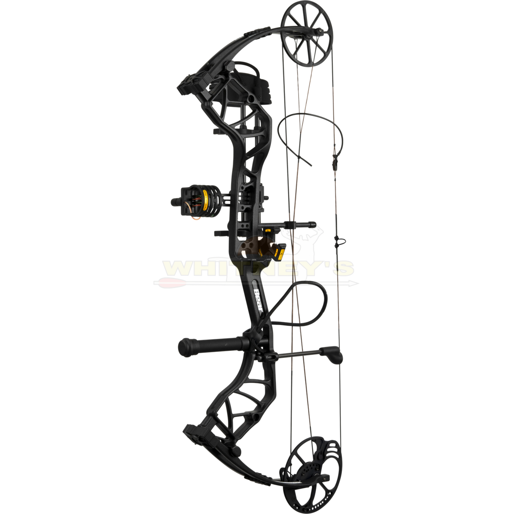 Bear Archery Bear Species EV RTH