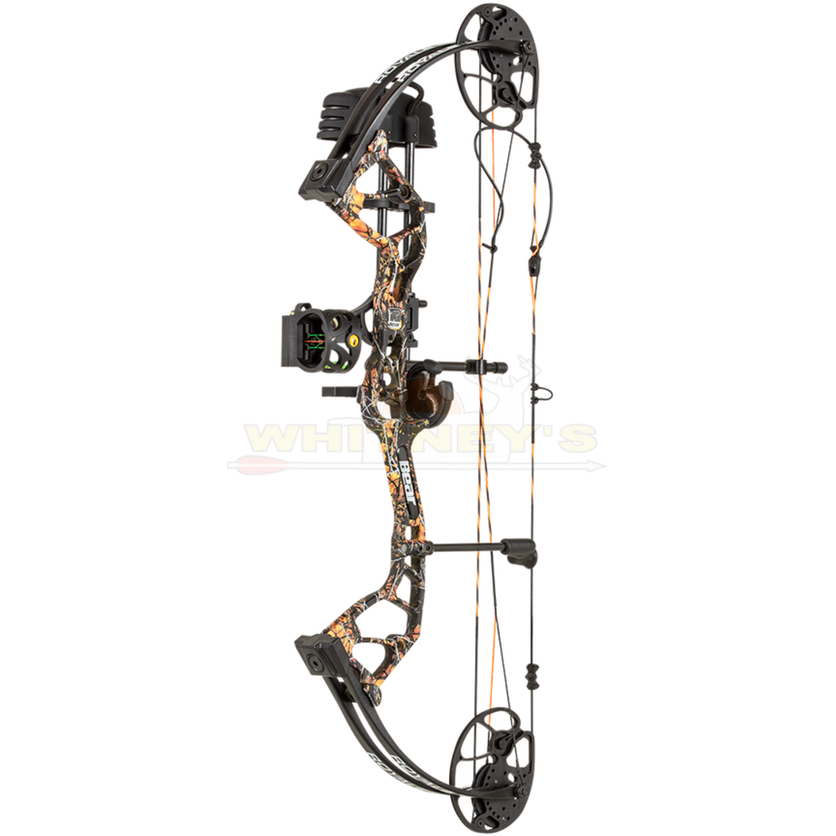 Bear Archery Bear Royale RTH 5-50#