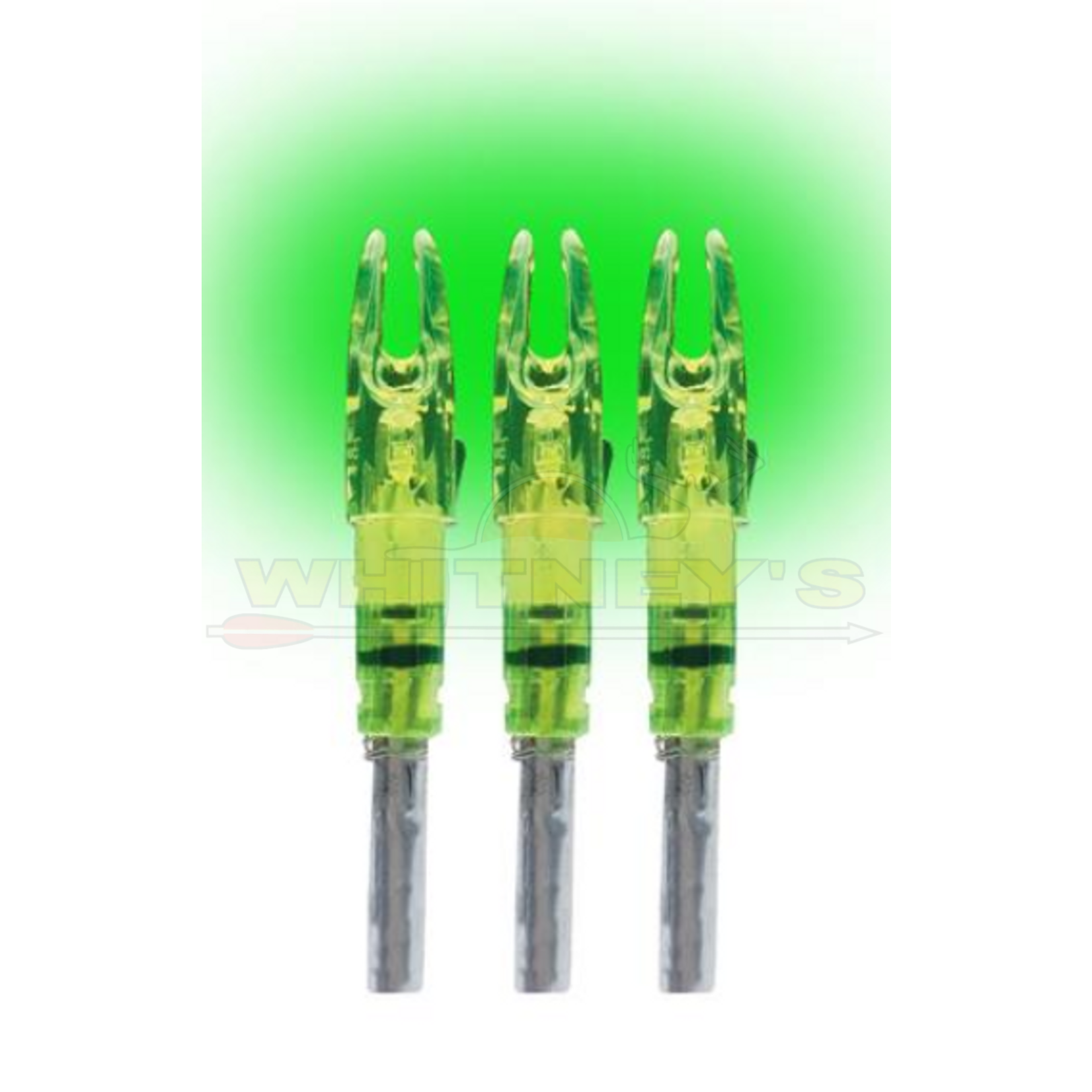 Burt Coyote Co., Inc. Burt Coyote Lumenok Signature Green, 3PK- SL3G