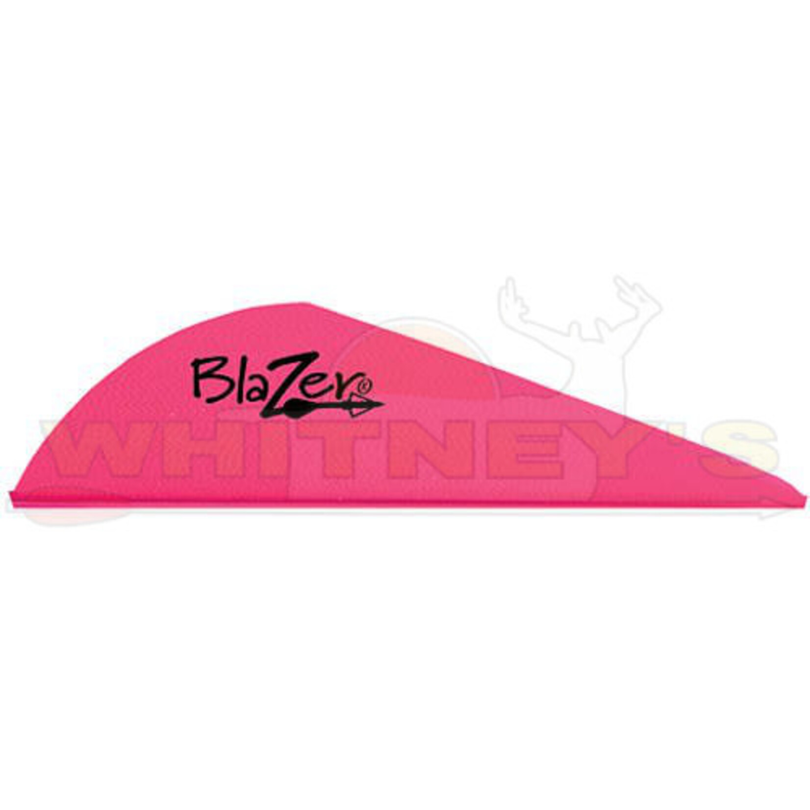 Bohning Company, LTD Bohning Blazer 2" Vanes, 100PK