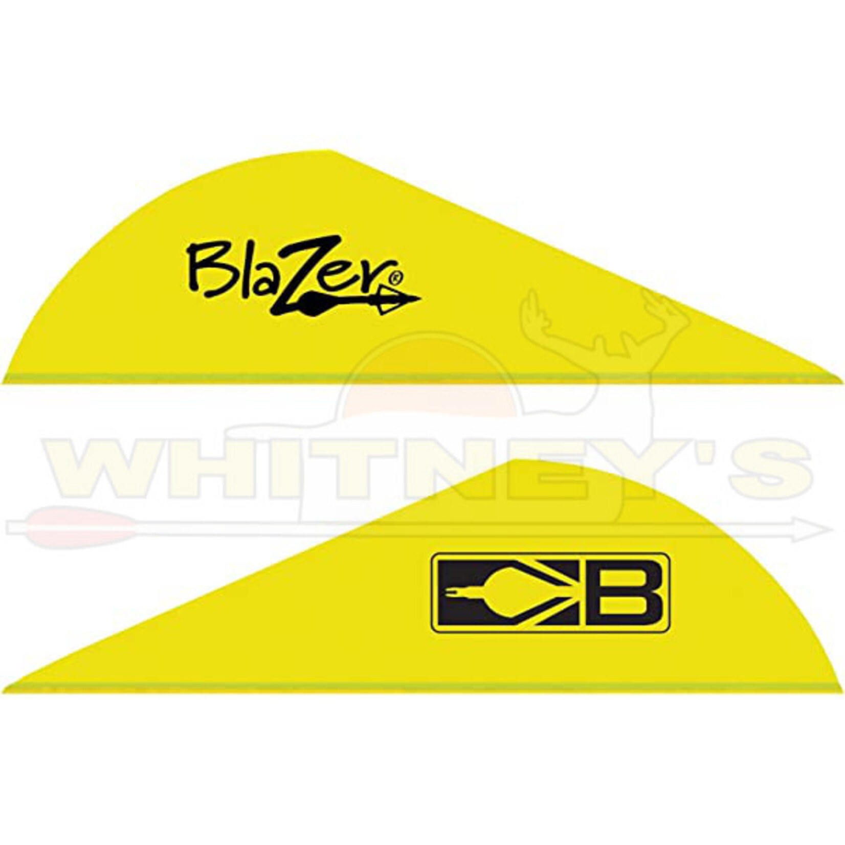 Bohning Company, LTD Bohning Blazer 2" Vanes, 100PK