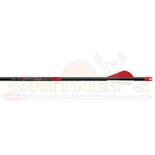 EASTON Easton Archery Bloodline Arrows (6 PACK)