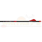 EASTON Easton Archery Bloodline Arrows (6 PACK)