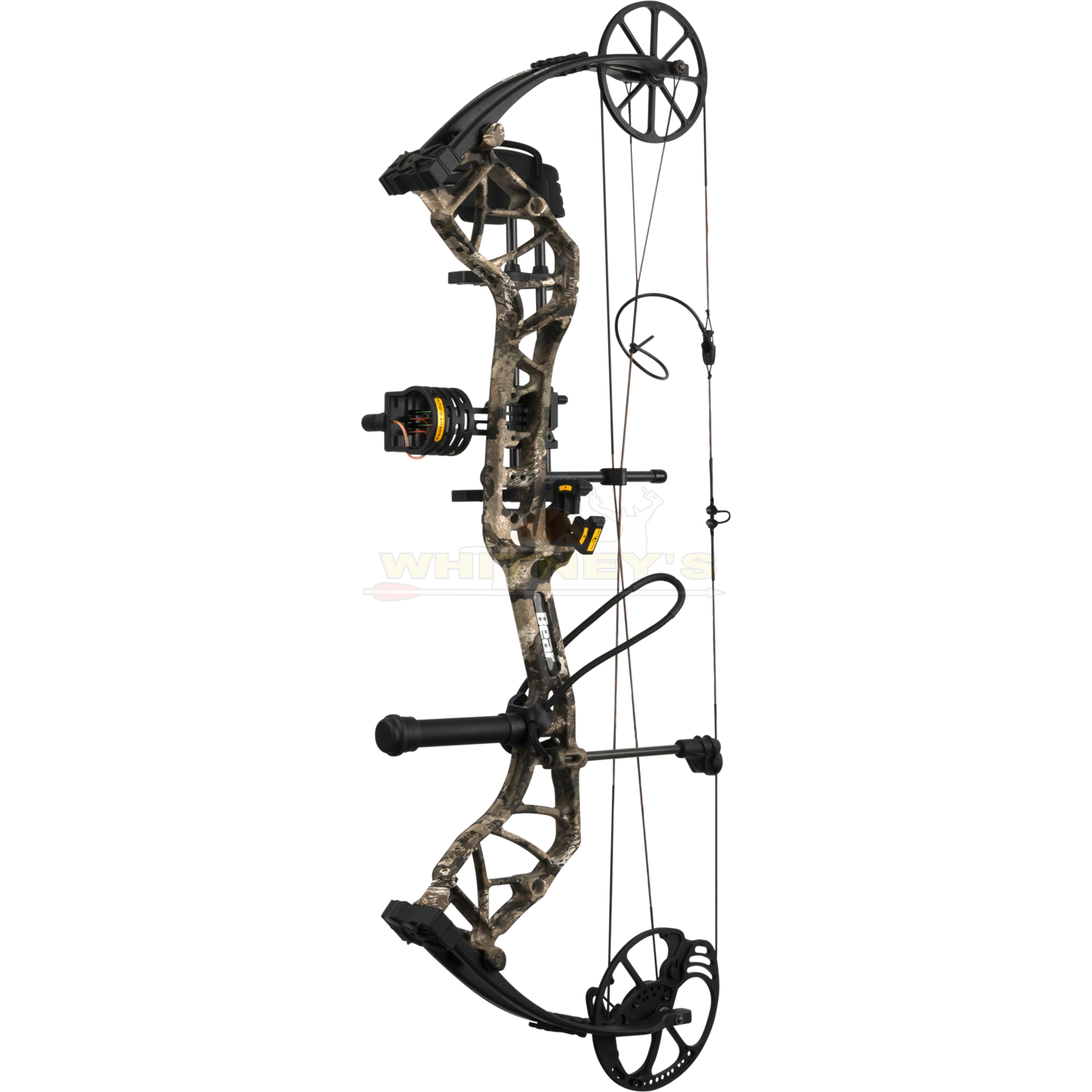 Bear Archery Bear Species EV RTH