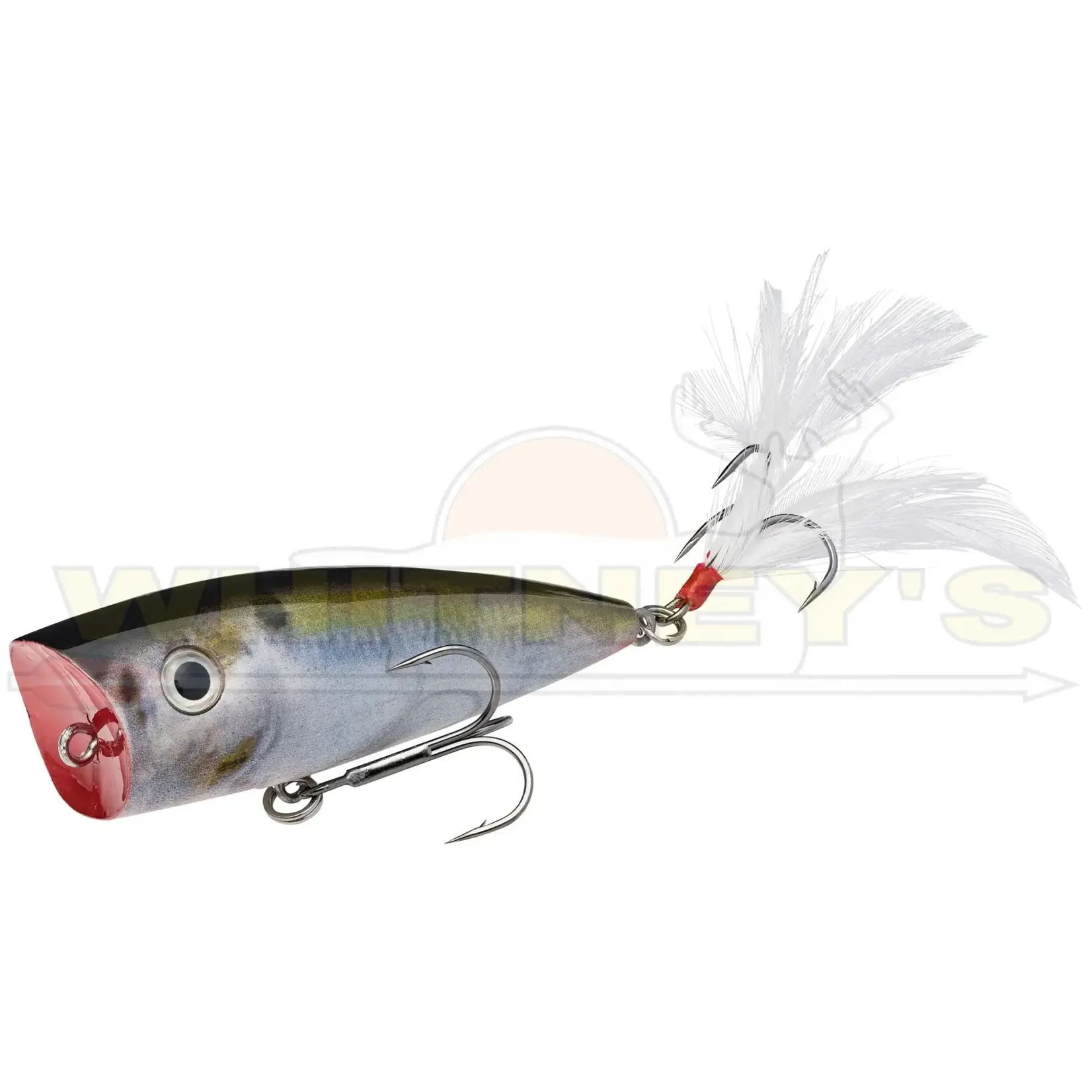 Strike King Strike King KVD Splash Topwater