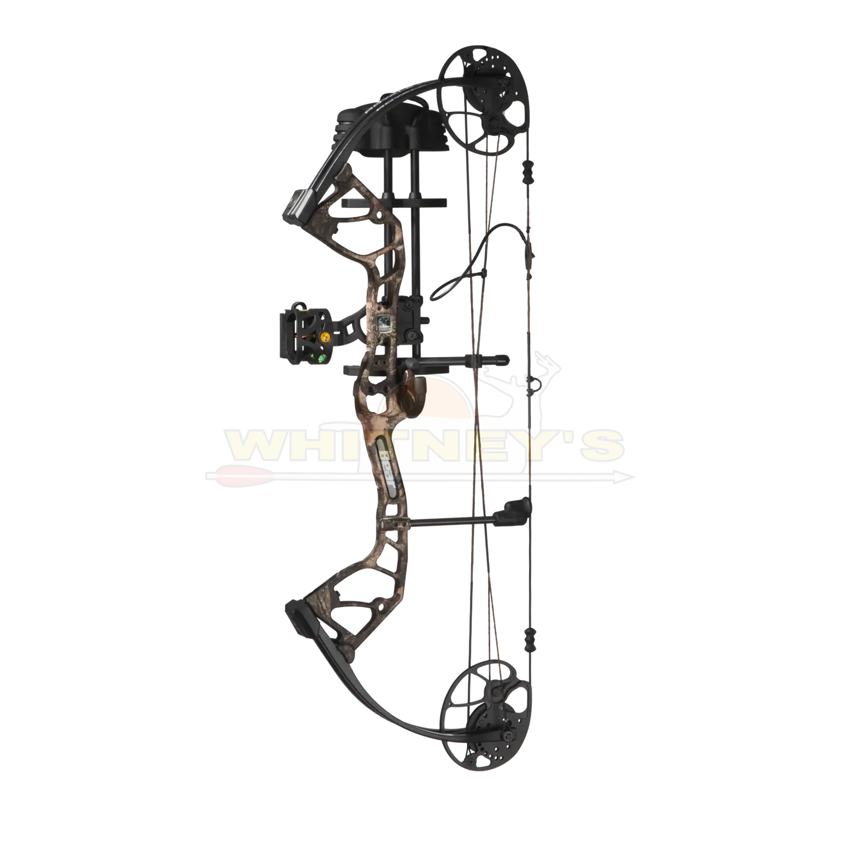 Bear Archery Bear Royale RTH 5-50#