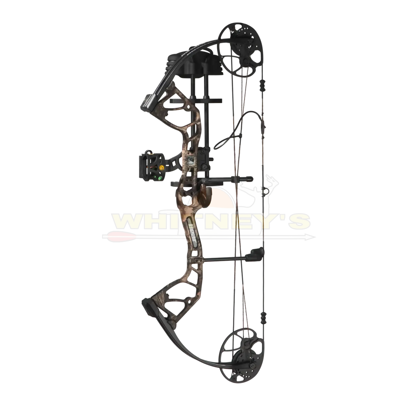 Bear Archery Bear Royale RTH 5-50#