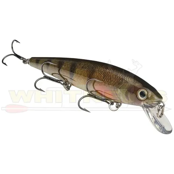 Strike King KVD Deep Jerkbait - Pro Citrus Shad