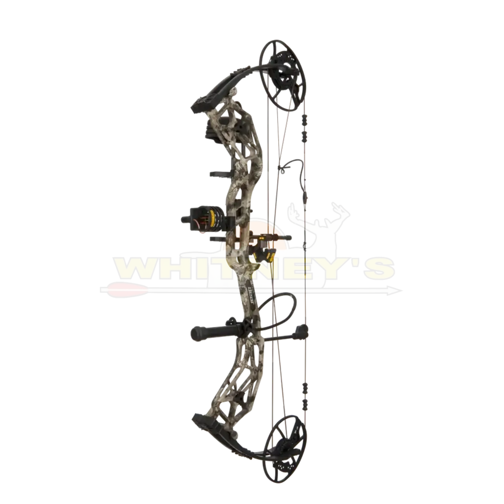 Bear Archery Bear Paradigm RTH