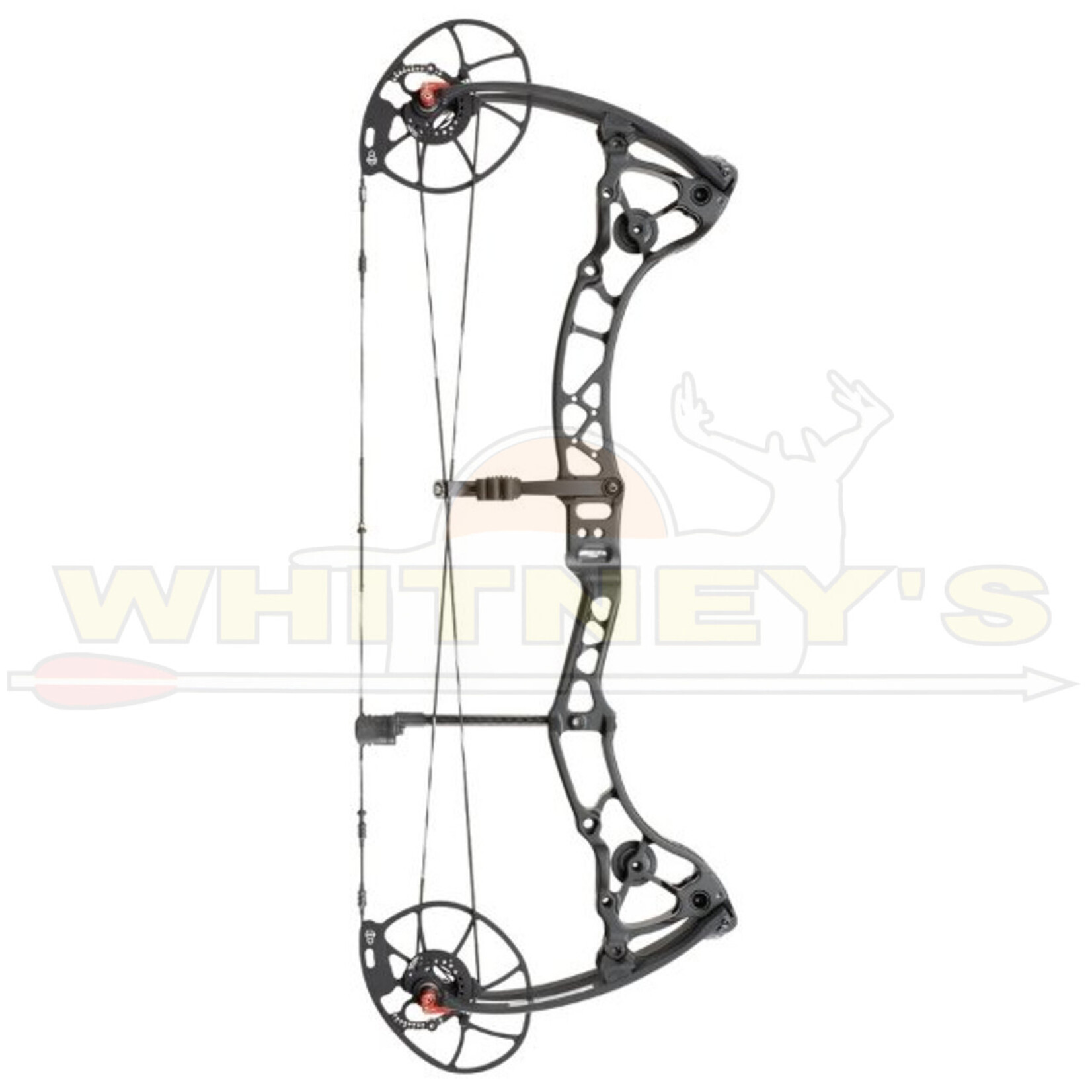 BowTech Bowtech CP28 Bow