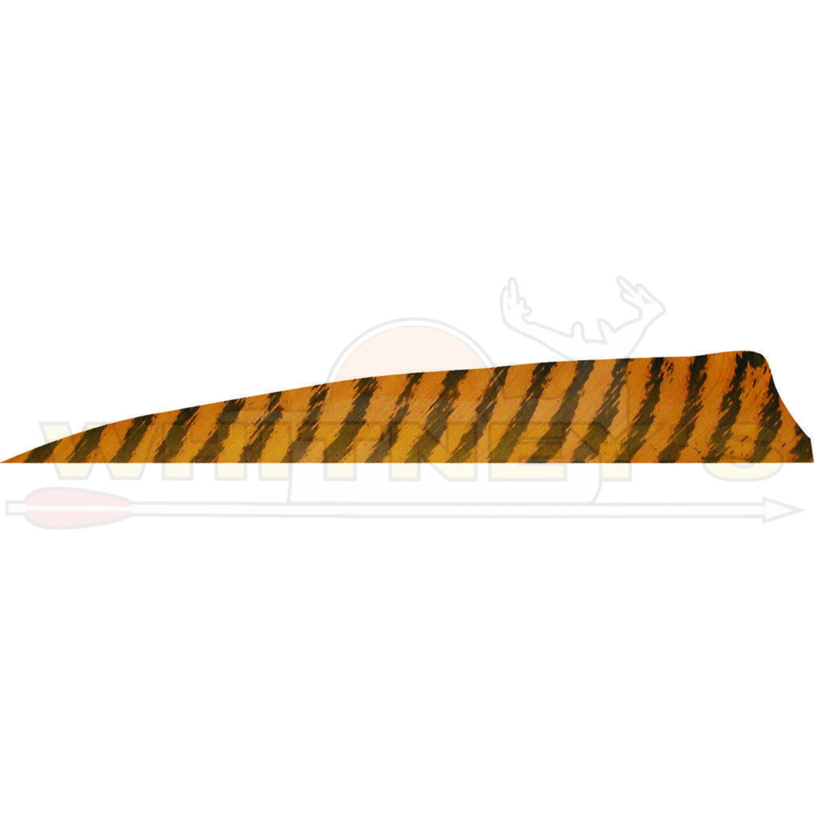 BowTech Black Eagle 4" Barred Feathers